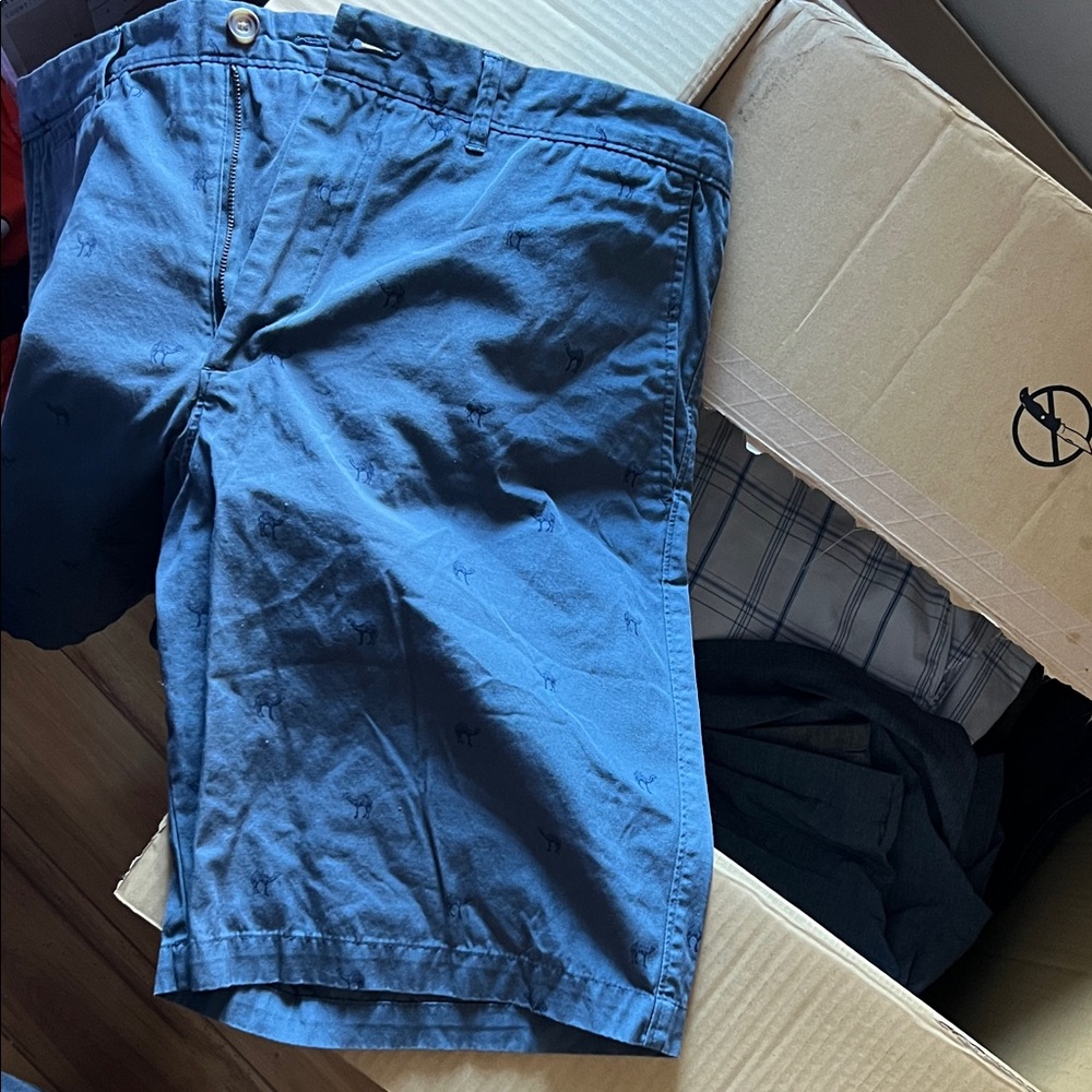 Merona Men's Flat Front Shorts in Blue
